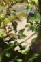 Nonton Film Love Unseen Beneath the Clear Night Sky Season 1 Episode 12 Sub Indo Nonton Film Love Unseen Beneath the Clear Night Sky Season 1 Episode 12 Sub Indo