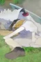 Nonton Film One Piece Season 23 Episode 1177 Sub Indo